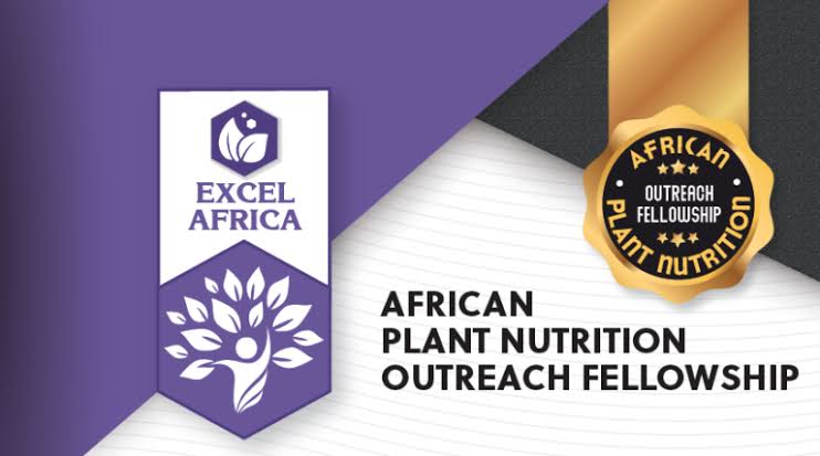 APPLY: African Plant Nutrition Outreach Fellowship Award 2024