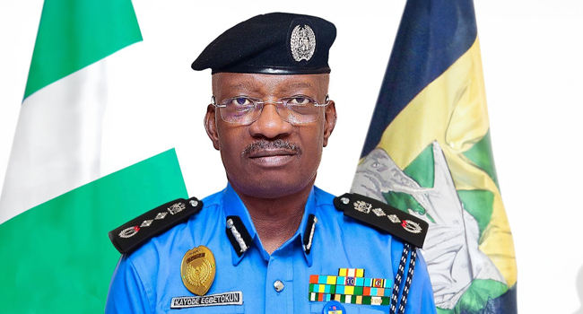 Foreign mercenaries involved in planned protest â IGP
