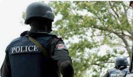 Police warn against protest in Borno, say state under emergency